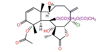 Erythrolide D